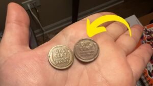 Lincoln Wheat Penny Worth Nearly $500,000 Still in Circulation — Could You Have It?